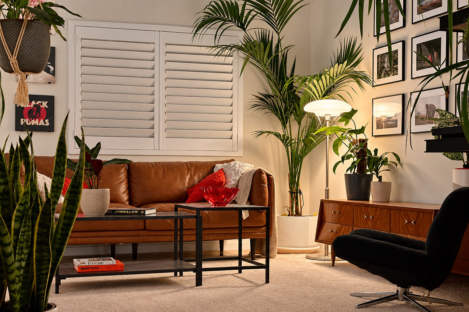 A warmly lit living room with a tan leather sofa, abundant greenery, framed art, timber furniture and a red glass bowl.